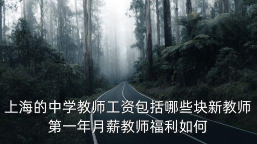 上海的中學(xué)教師工資包括哪些塊新教師第一年月薪教師福利如何