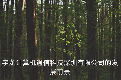 宇龍計算機通信科技深圳有限公司的發展前景