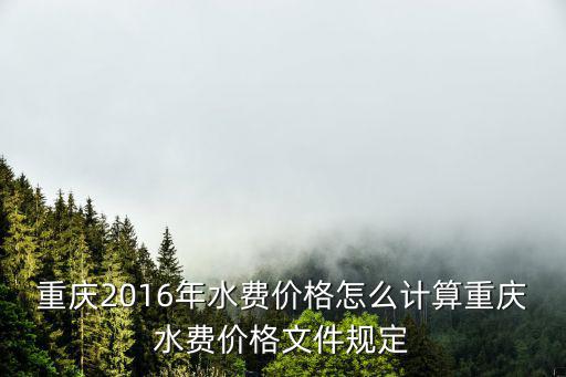 重慶2016年水費價格怎么計算重慶水費價格文件規定