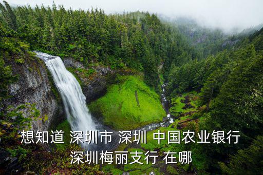 想知道 深圳市 深圳 中國農業銀行深圳梅麗支行 在哪