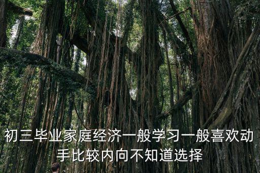 初三畢業(yè)家庭經(jīng)濟(jì)一般學(xué)習(xí)一般喜歡動(dòng)手比較內(nèi)向不知道選擇