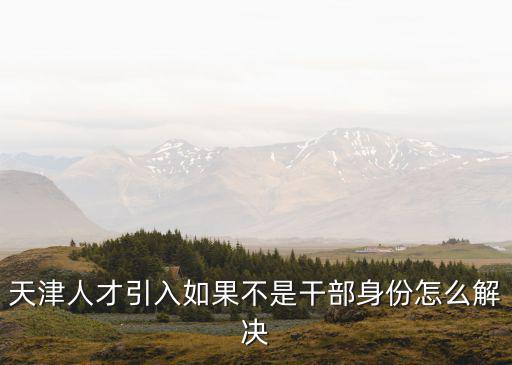 天津人才引入如果不是干部身份怎么解決