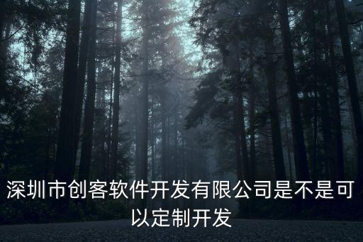 深圳市創客軟件開發有限公司是不是可以定制開發