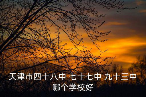 天津市四十八中 七十七中 九十三中哪個(gè)學(xué)校好