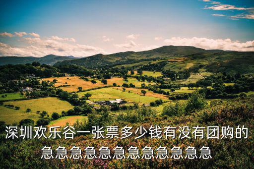 深圳歡樂谷夜場自駕游2日團購，深圳歡樂谷門票價格團購價
