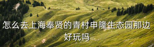 怎么去上海奉賢的青村申隆生態園那邊好玩嗎