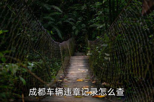 成都車輛違章記錄怎么查