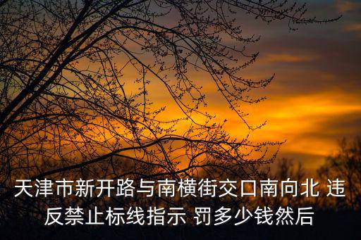 天津市新開路與南橫街交口南向北 違反禁止標線指示 罰多少錢然后