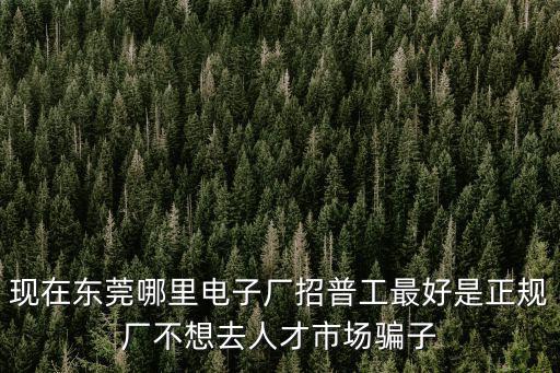 現(xiàn)在東莞哪里電子廠招普工最好是正規(guī)廠不想去人才市場騙子