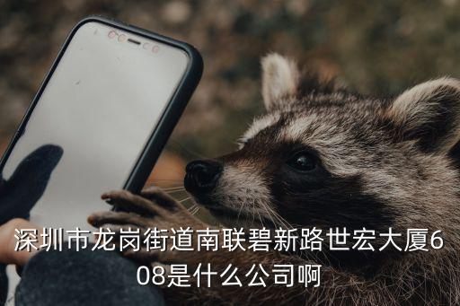 深圳市龍崗街道南聯(lián)碧新路世宏大廈608是什么公司啊