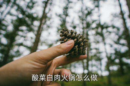 酸菜白肉鍋 成都市，酸菜白肉是哪個地方的菜