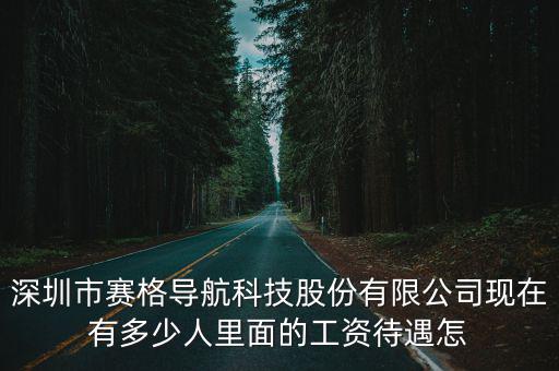 深圳市賽格導航科技股份有限公司現在有多少人里面的工資待遇怎