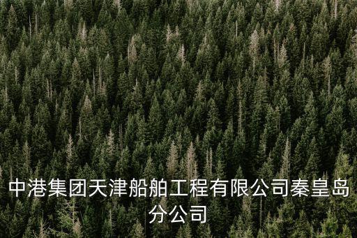 中港集團天津船舶工程有限公司秦皇島分公司