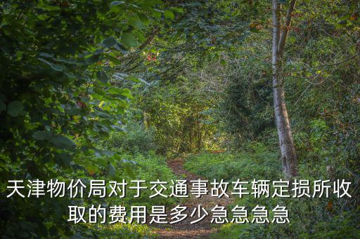 天津物價局對于交通事故車輛定損所收取的費用是多少急急急急