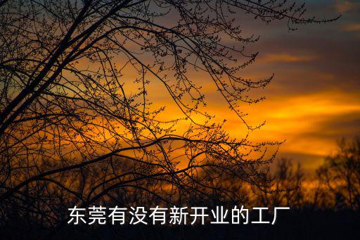 東莞有沒有新開業(yè)的工廠