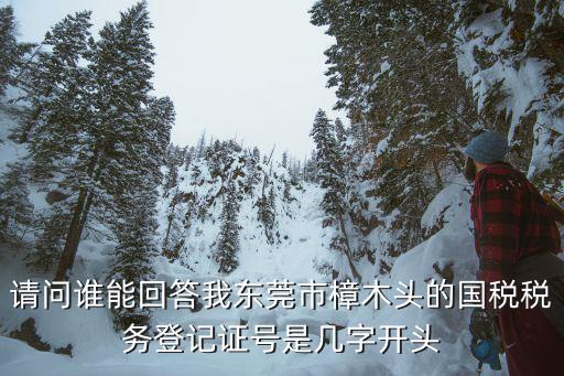 請問誰能回答我東莞市樟木頭的國稅稅務(wù)登記證號是幾字開頭