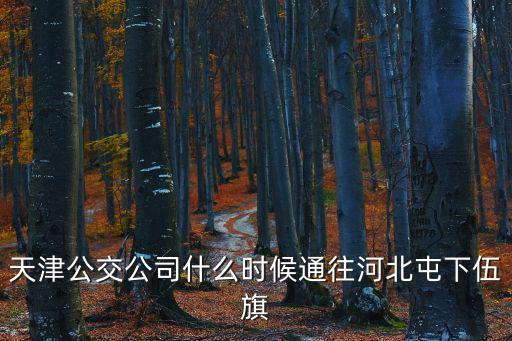 天津公交公司什么時候通往河北屯下伍旗