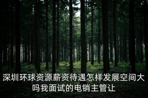 深圳環球資源薪資待遇怎樣發展空間大嗎我面試的電銷主管讓