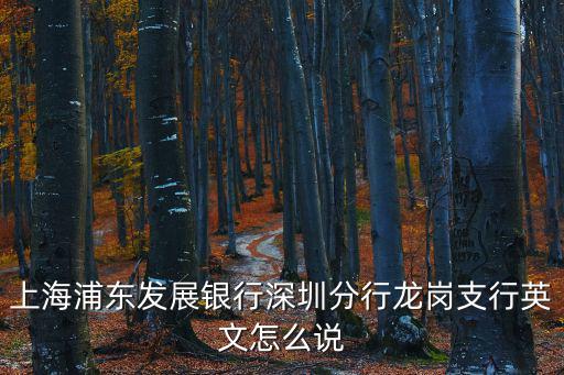 上海浦東發展銀行深圳分行龍崗支行英文怎么說