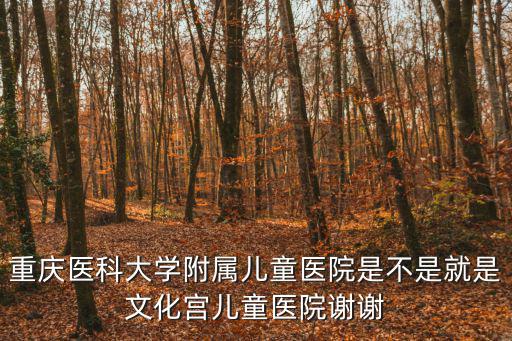 重慶醫科大學附屬兒童醫院是不是就是文化宮兒童醫院謝謝