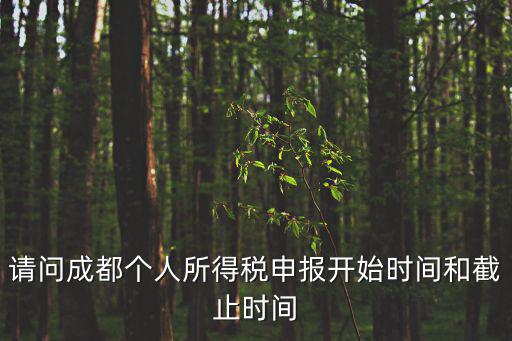 請(qǐng)問(wèn)成都個(gè)人所得稅申報(bào)開(kāi)始時(shí)間和截止時(shí)間