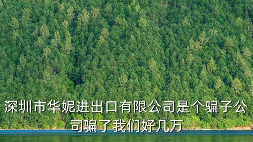鄭雁虹 深圳 醫療用地，深圳一共有多少家大型外貿衣服批發市場詳細地址