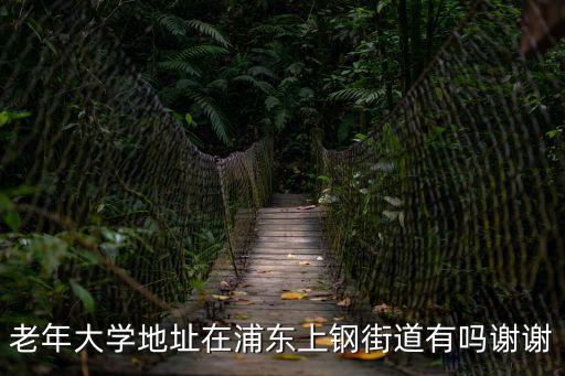 老年大學地址在浦東上鋼街道有嗎謝謝