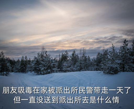 深圳緝毒大隊，在深圳報警吸毒者會來抓嗎