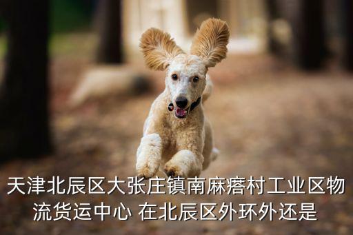 天津北辰區大張莊鎮南麻瘩村工業區物流貨運中心 在北辰區外環外還是