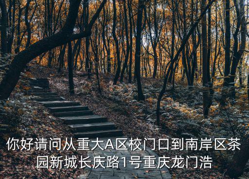重慶市南岸區龍門浩職中3 4，重慶龍門浩職業中學在重慶哪個區
