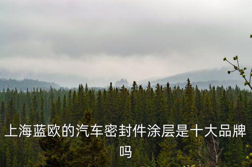 上海藍歐的汽車密封件涂層是十大品牌嗎