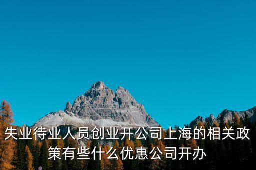 上海市的投資優惠政策，注冊軟件公司在上海自貿區的優惠政策有哪些