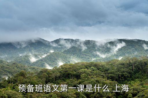 預(yù)備班語文第一課是什么 上海
