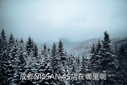 成都NISSAN 4S店在哪里呢