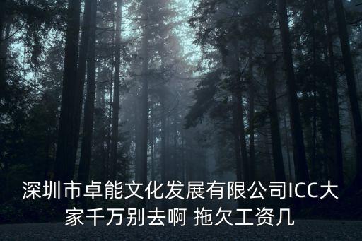 深圳例外藝術(shù)顧問有限公司，葉千華拒受藝術(shù)顧問的是哪幾家單位