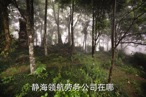 靜海領航勞務公司在哪