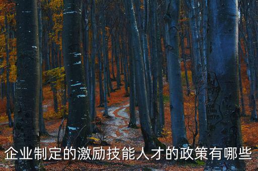 企業制定的激勵技能人才的政策有哪些