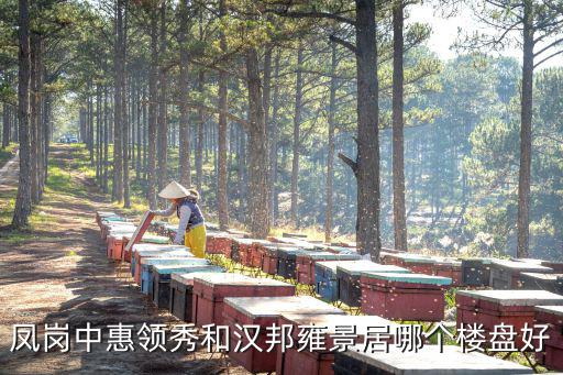 鳳崗中惠領(lǐng)秀和漢邦雍景居哪個(gè)樓盤(pán)好