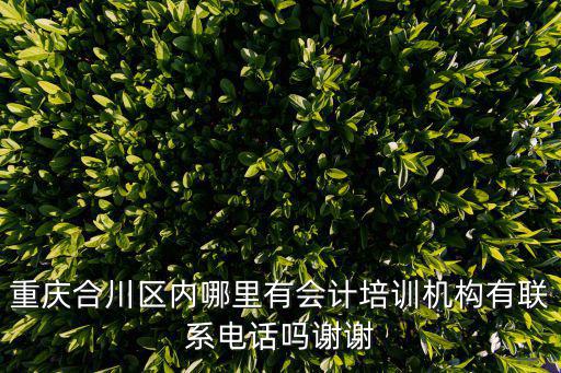 重慶市合川區信息技術培訓，重慶合川區哪里有辦公軟件的培訓班