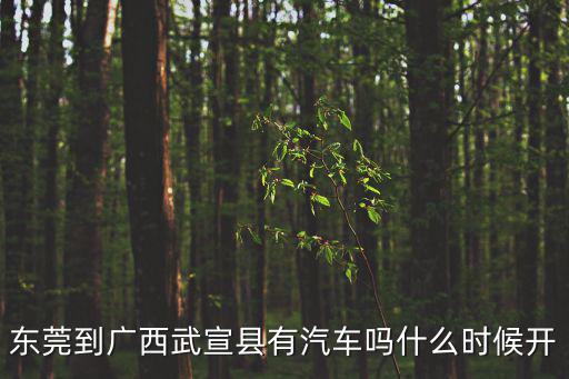 東莞到廣西武宣縣有汽車嗎什么時(shí)候開