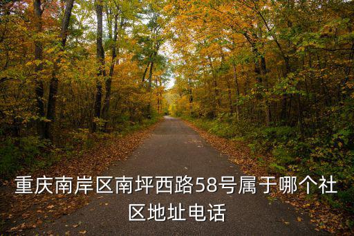 重慶南岸區(qū)南坪西路58號屬于哪個社區(qū)地址電話
