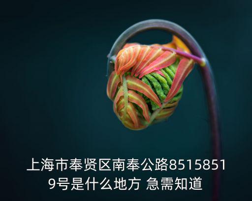 上海市奉賢區南奉公路85158519號是什么地方 急需知道