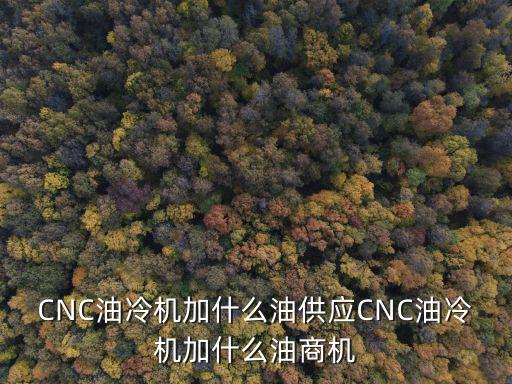 CNC油冷機(jī)加什么油供應(yīng)CNC油冷機(jī)加什么油商機(jī)