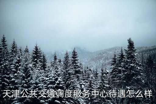 天津公共交通調度服務中心待遇怎么樣