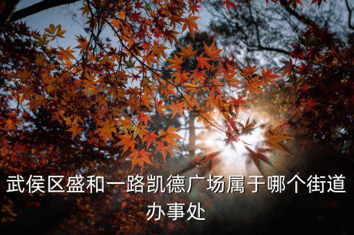 武侯區盛和一路凱德廣場屬于哪個街道辦事處