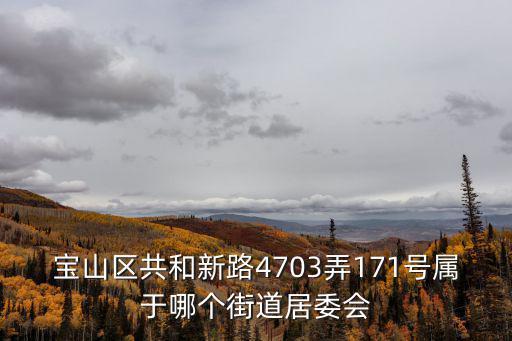 寶山區(qū)共和新路4703弄171號屬于哪個街道居委會