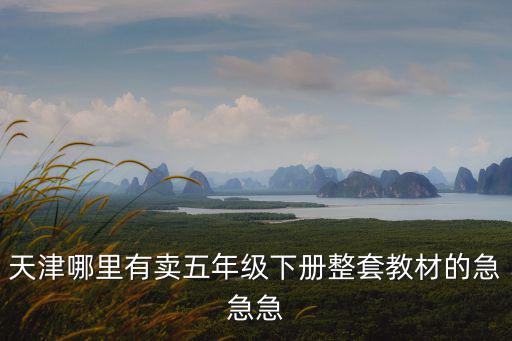 天津哪里有賣(mài)五年級(jí)下冊(cè)整套教材的急急急