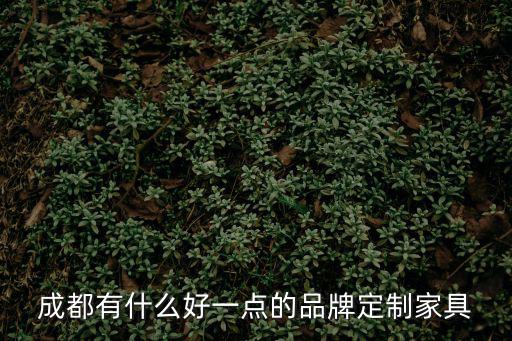 成都有什么好一點的品牌定制家具