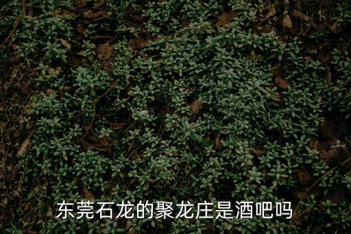 東莞石龍的聚龍莊是酒吧嗎
