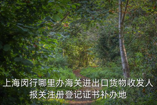 上海閔行哪里辦海關進出口貨物收發(fā)人報關注冊登記證書補辦地